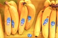 Chiquita Royalty Free Stock Photo