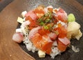 Raw Salmon Rice Royalty Free Stock Photo