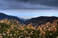 Chiricahua National Monument