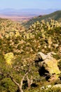 Chiricahua National Monument Arizona Royalty Free Stock Photo