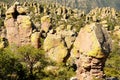 Chiricahua National Monument Arizona Royalty Free Stock Photo