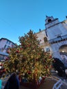Chiristmas tree in Padua Royalty Free Stock Photo