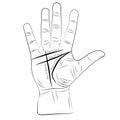 Chiromancy hand with lines of life, love, mind and destiny. palmistry vector drawing illustration