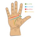 Chiromancy hand with lines of life, love, mind and destiny. palmistry vector drawing illustration