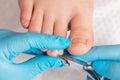 A chiropodist gives a pedicure to the client& x27;s feet, cutting dry skin with clippers. Close up. Top view. The concept Royalty Free Stock Photo