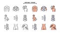 Chiropractic line icon set. Editable stroke. Chiropractor icons set