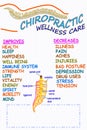 Chiropractic wellness care therapy related words