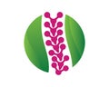 Chiropractic Wellness Centre and Spine Care Symbol