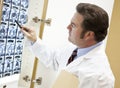 Chiropractor Examines CT Scan Royalty Free Stock Photo