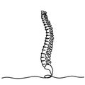 Chiropractor spine. Continuous one line drawing on white background