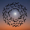 Chiroptera against a twilight sky, with a full moon visible in the Royalty Free Stock Photo