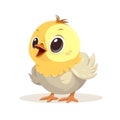 Chirpy chick artwork