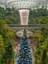 Chirstmas tree with colourful ornament. Nice feeling to be there Jewel Changi Airport Singapore