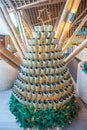 Chirstmas tree made from champaigne bottles