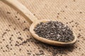 Chia seeds on sack cloth