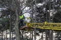 CHISINAU,MOLDOVA - NOVEMBER 21,2017: preparing for Christmas celebration