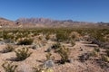 Chisos Mountains Landscape Royalty Free Stock Photo