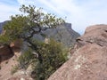 Chisos Mountains, Big Bend National Park