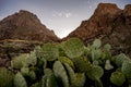 Chisos Moutains and Pricklypear