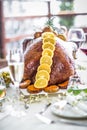 Chistmas turkey Royalty Free Stock Photo