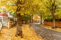 Chiswick suburb street in autumn, London Royalty Free Stock Photo