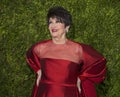 Chita Rivera Arrives at the 2015 Tony Awards Royalty Free Stock Photo