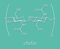 Chitin, chemical structure. Chitin is a polymer of N-acetylglucosamine and is present in the exoskeletons of insects, crustaceans Royalty Free Stock Photo