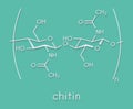 Chitin, chemical structure. Chitin is a polymer of N-acetylglucosamine and is present in the exoskeletons of insects, crustaceans