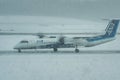 A All Nippon Airways plane taxiing in heavy snow at Chitose International airport