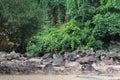 Chitrakot Waterfall Grass & Nature Royalty Free Stock Photo