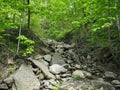 Chittenango Falls State Park Feeder Stream