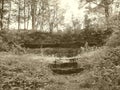 Chittenango Falls State Park Rock Wall Sepia