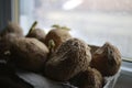 Chitting potatoes in front of windowsill to prepare for spring planting Royalty Free Stock Photo