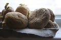 Chitting potatoes in front of windowsill to prepare for spring planting Royalty Free Stock Photo