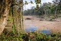 Chitwan National Park, Nepal Royalty Free Stock Photo
