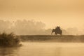 Chitwan National Park, Nepal - November 21, 2017. Tourists on elephants having a safari journey in the morning. Crossing the river Royalty Free Stock Photo