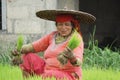 Chitwan Nepal ,04 April 2020:Nepali woman posing for a camera during paddy plantation from Chitwan Nepal.