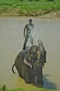 CHITWAN,NP-CIRCA AUGUST 2012 - A man on elephant takes a bath in