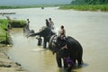 CHITWAN,NP-CIRCA AUGUST 2012 - A man on elephant takes a bath in