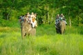 CHITWAN,NP-CIRCA AUGUST 2012 - tourists doing safari on elephant