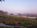 Chitwan NP in the morning