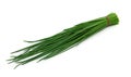 Chives