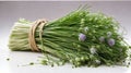 Chives bunch
