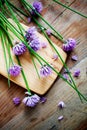 Chives Royalty Free Stock Photo