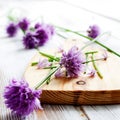 Chives Royalty Free Stock Photo