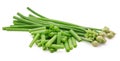 Chives flower or Chinese Chive isolated cut out on white background Royalty Free Stock Photo