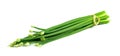 Chives flower or Chinese Chive isolated on white background Royalty Free Stock Photo