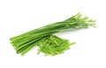 Chives flower or Chinese Chive isolated on white background Royalty Free Stock Photo