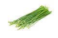 Chives flower or Chinese Chive isolated on white background Royalty Free Stock Photo