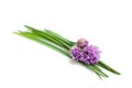 Chives flowers